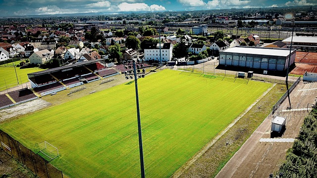 略吸引选民 略吸引选民