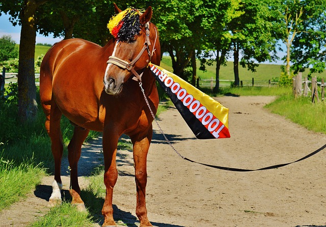 结合直播中 结合直播中