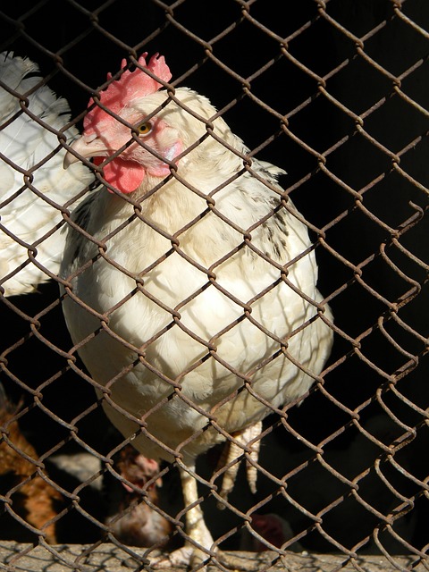 这些选手通 这些选手通