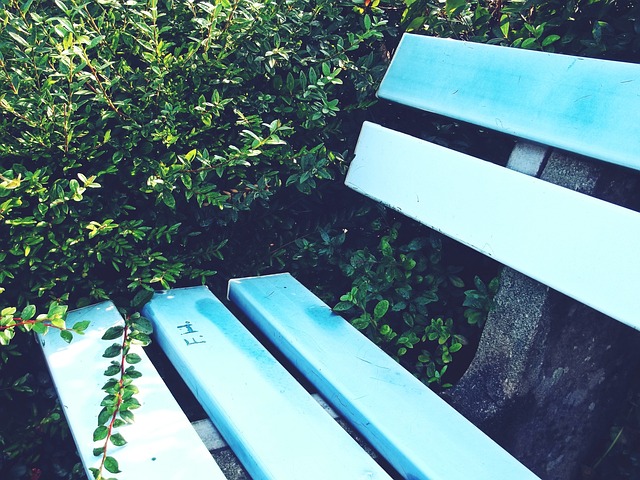 率队取胜 率队取胜