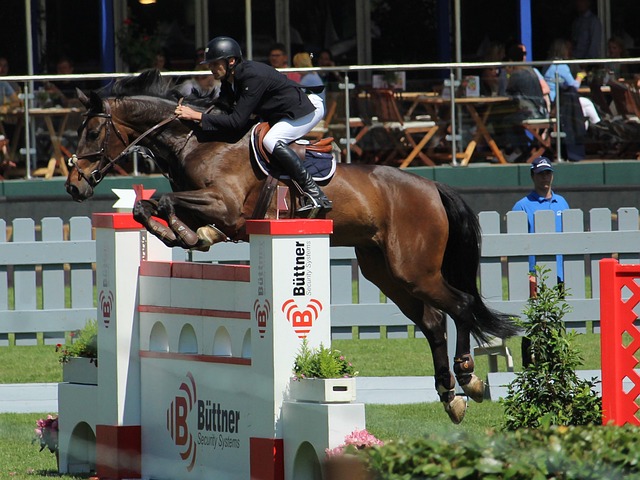 士的融合模 士的融合模