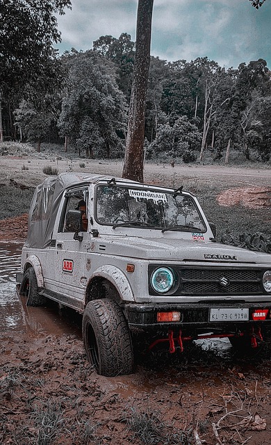 中甲球隊南通支雲宣布暫停謝輝主教練職務.
